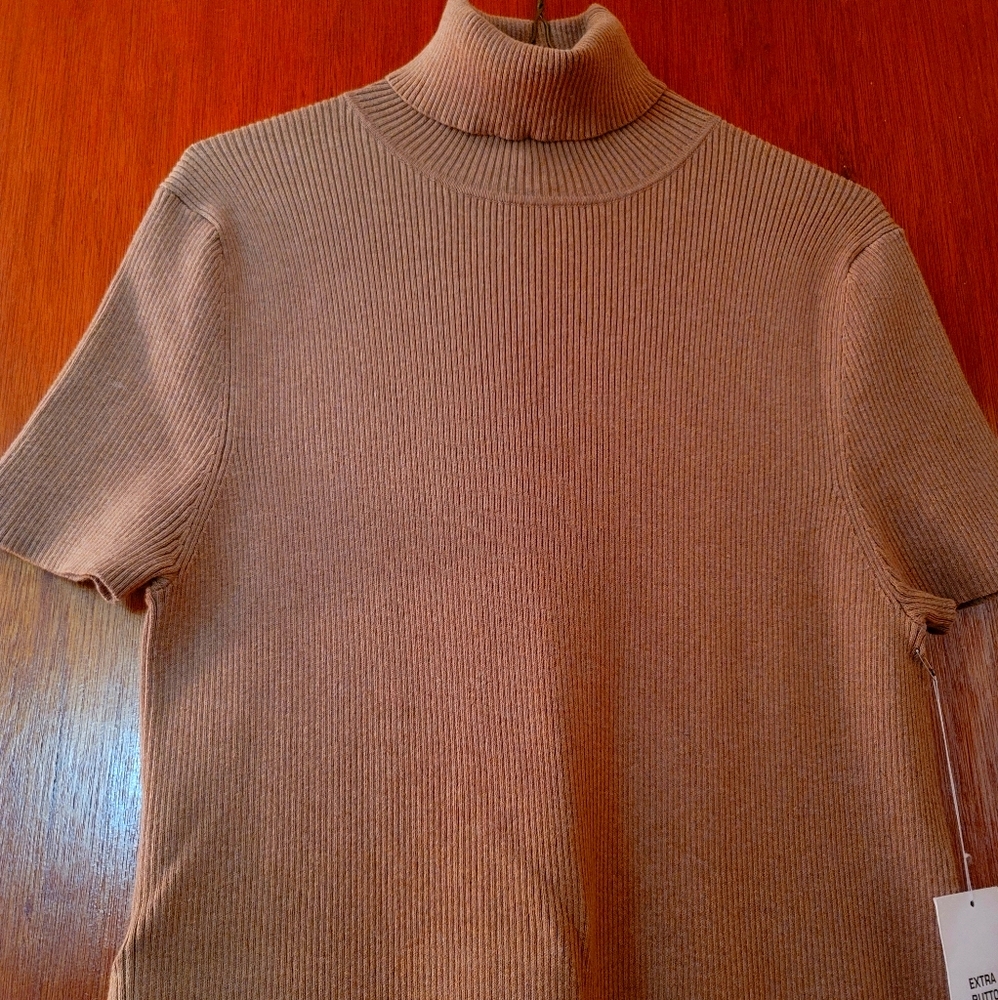 Turtleneck dress